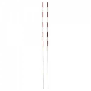 Tinklinio antenos (pora) Tinklinio antenos (pora)