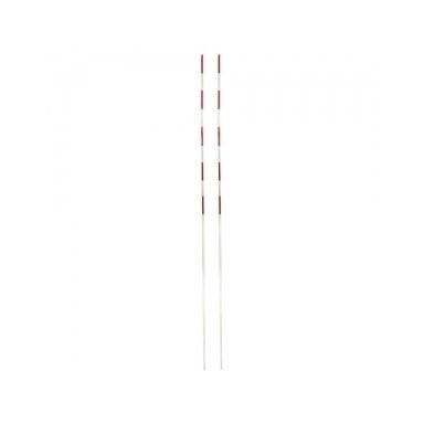 Tinklinio antenos (pora) Tinklinio antenos (pora)