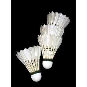Badmintono skraidukai AMAYA Medium Badmintono skraidukai AMAYA Medium