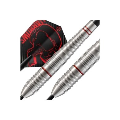 Darts strėlytės steeltip HARROWS RAGE 2