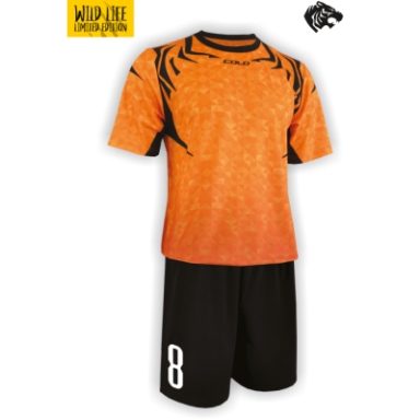 Futbolo apranga COLO TIGER Futbolo apranga COLO TIGER
