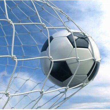 Futbolo vartų tinklas Netex 5x2x0,8x1,5m PE3mm (2vnt)