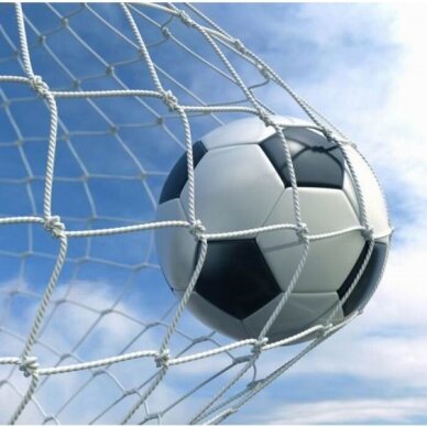 Futbolo vartų tinklas Netex 1,80x1,20x0,5x0,7m PP3mm (2vnt) 1 Futbolo vartų tinklas Netex 1,80x1,20x0,5x0,7m PP3mm (2vnt) 1