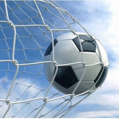 Futbolo vartų tinklas Netex 5x2x0,8x1,5m PE4mm (2vnt) 1
