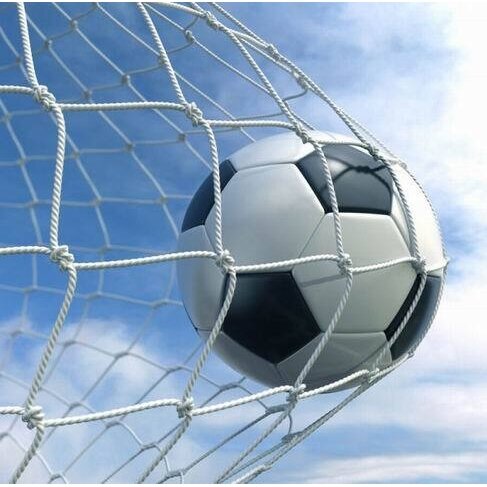 Futbolo vartų tinklas Netex 5x2x0,8x1,5m PES4mm Futbolo vartų tinklas Netex 5x2x0,8x1,5m PES4mm