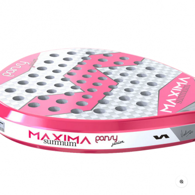 Maxima Sum Jr Pansy 2 Maxima Sum Jr Pansy 2