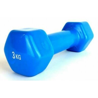 Šešiakampis aerobikos hantelis Prove 3kg (1vnt) Šešiakampis aerobikos hantelis Prove 3kg (1vnt)
