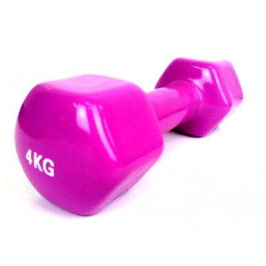 Šešiakampis aerobikos hantelis Prove 4kg (1vnt) Šešiakampis aerobikos hantelis Prove 4kg (1vnt)