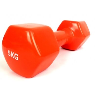 Šešiakampis aerobikos hantelis Prove 5kg (1vnt)