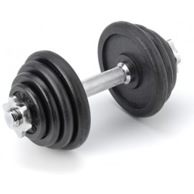 Surenkamas metalinis hantelis Prove 12kg