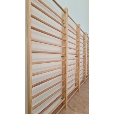 Švediška gimnastikos sienelė Wood-Line 2,8x0,90x0,15m