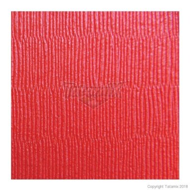 Tatamis TATAMIX J50R Kietas 100x100x5cm (Made in Italy)