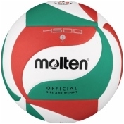 Tinklinio kamuolys Molten V5M4500-X