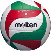 Tinklinio kamuolys Molten V5M2000